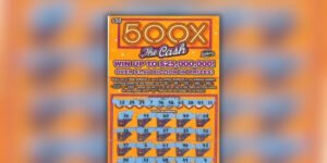 Unleash the Thrill with 500x The Cash Slots!